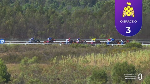 Fairview SA 23 Jan 2026 Race 8