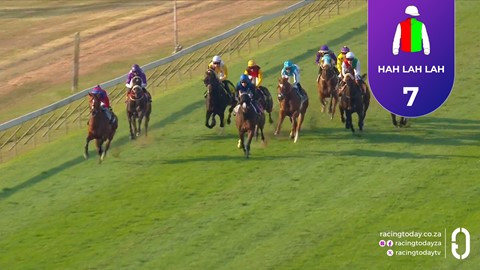 Hollywoodbets Scottsville SA 28 Jun 2026 Race 7