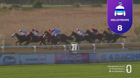 Fairview SA 12 Jun 2026 Race 7