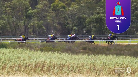 Fairview SA 23 Jan 2026 Race 2