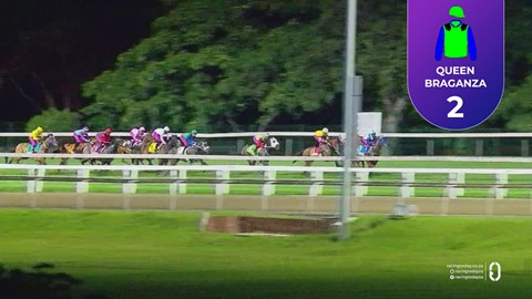 Hollywoodbets Greyville SA 31 Oct 2025 Race 9