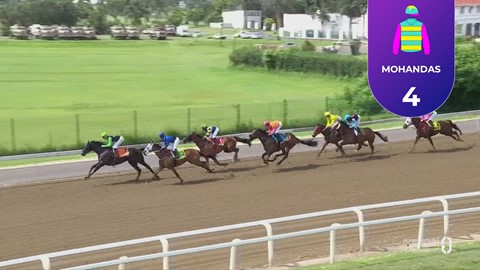 Hollywoodbets Greyville SA 31 Dec 2025 Race 4