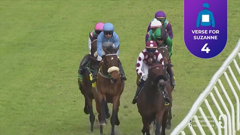Hollywoodbets Durbanville SA 17 Oct 2026 Race 7