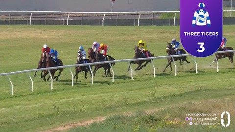 Hollywoodbets Durbanville SA 06 Sep 2026 Race 4