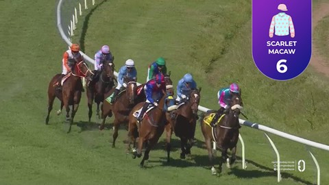 Hollywoodbets Durbanville SA 18 Oct 2025 Race 6
