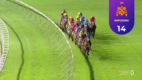 Hollywoodbets Greyville SA 31 Oct 2025 Race 8
