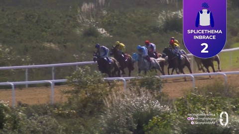 Fairview SA 18 Sep 2026 Race 6
