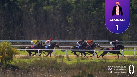 Fairview SA 09 Sep 2026 Race 3