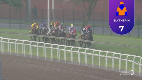 Hollywoodbets Greyville SA 26 Dec 2025 Race 9