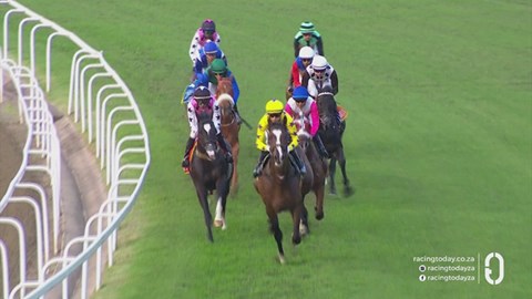 Hollywoodbets Greyville SA 28 Aug 2026 Race 3