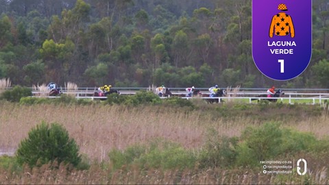 Fairview SA 08 May 2026 Race 8