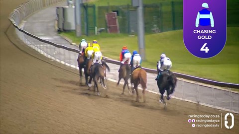 Hollywoodbets Greyville SA 23 Oct 2026 Race 7
