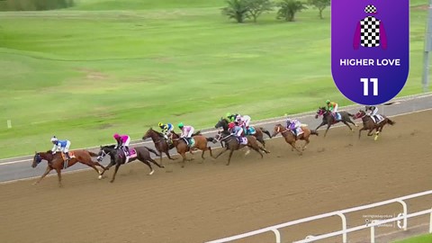 Hollywoodbets Greyville SA 27 Mar 2026 Race 3