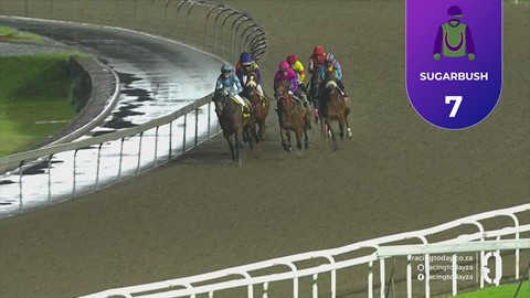 Hollywoodbets Greyville SA 04 Sep 2026 Race 8