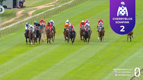 Hollywoodbets Scottsville SA 15 Mar 2026 Race 1