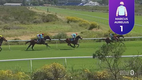Hollywoodbets Kenilworth SA 10 Nov 2025 Race 5