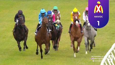 Hollywoodbets Durbanville SA 22 Aug 2026 Race 2
