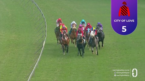 Hollywoodbets Greyville SA 11 Oct 2026 Race 6