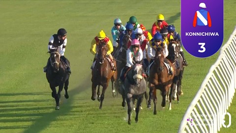 Hollywoodbets Kenilworth SA 08 Nov 2025 Race 10