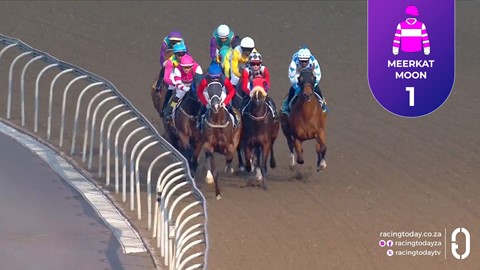 Hollywoodbets Greyville SA 15 Jul 2026 Race 6