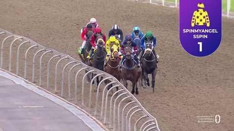 Hollywoodbets Greyville SA 16 Nov 2025 Race 7