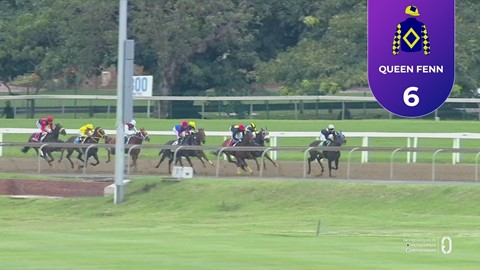 Hollywoodbets Greyville SA 28 Nov 2025 Race 3