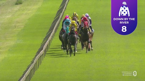 Hollywoodbets Scottsville SA 11 Jan 2026 Race 7