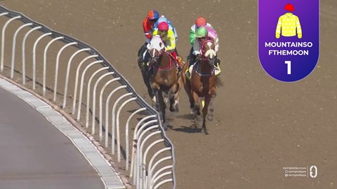 Hollywoodbets Greyville SA 08 Apr 2026 Race 4