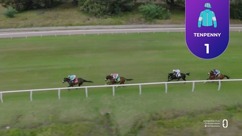 Hollywoodbets Kenilworth SA 28 Feb 2026 Race 2
