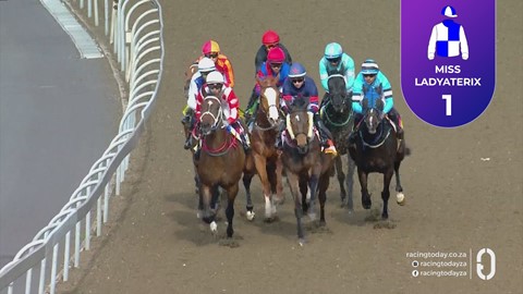 Hollywoodbets Greyville SA 12 Jul 2026 Race 5