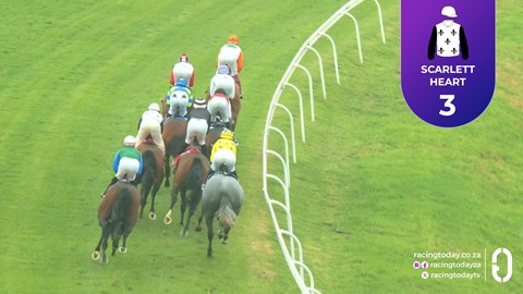 Turffontein SA 21 Feb 2026 Race 8