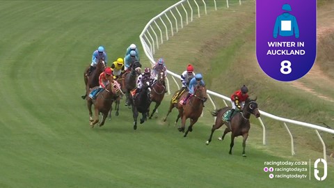 Hollywoodbets Durbanville SA 11 Feb 2026 Race 2