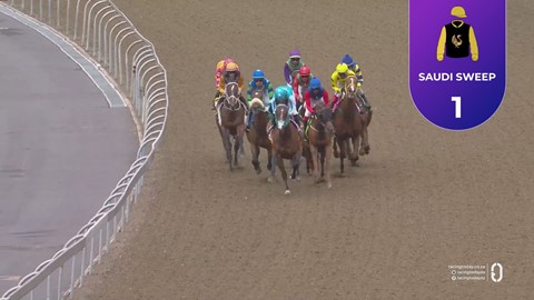 Hollywoodbets Greyville SA 08 Mar 2026 Race 2