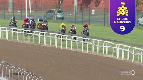 Hollywoodbets Greyville SA 11 Apr 2026 Race 2