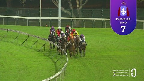 Hollywoodbets Greyville SA 28 Aug 2026 Race 8