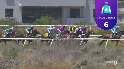 Hollywoodbets Kenilworth SA 24 Dec 2025 Race 2