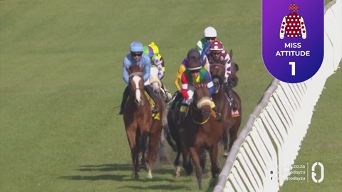 Hollywoodbets Kenilworth SA 15 Aug 2026 Race 6