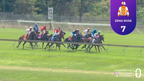 Hollywoodbets Scottsville SA 18 Feb 2026 Race 4