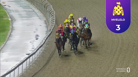 Hollywoodbets Greyville SA 28 Nov 2025 Race 7