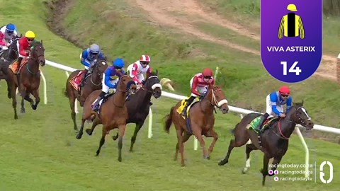 Hollywoodbets Durbanville SA 22 Aug 2026 Race 1