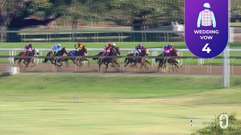 Hollywoodbets Greyville SA 18 Aug 2026 Race 3