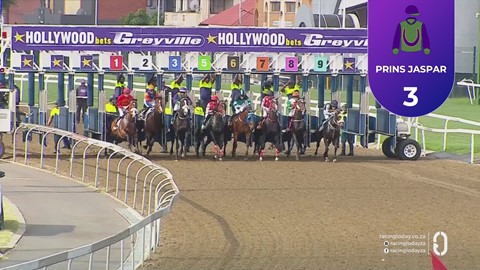 Hollywoodbets Greyville SA 13 May 2026 Race 2