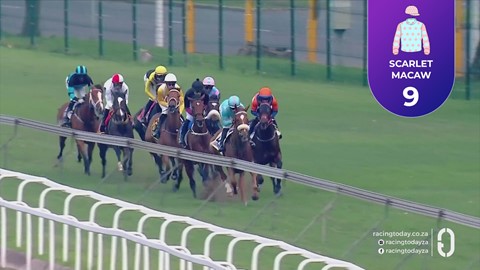 Hollywoodbets Greyville SA 11 Oct 2026 Race 8