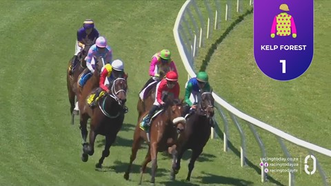 Hollywoodbets Durbanville SA 28 Oct 2026 Race 2