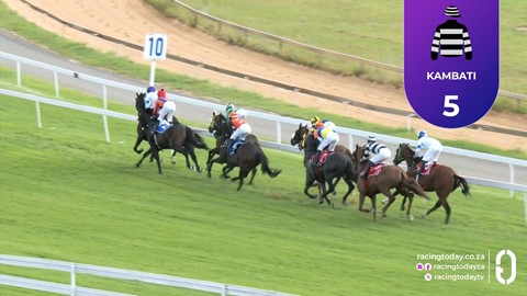 Turffontein SA 26 Feb 2026 Race 8