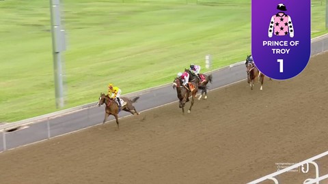 Hollywoodbets Greyville SA 28 Nov 2025 Race 2