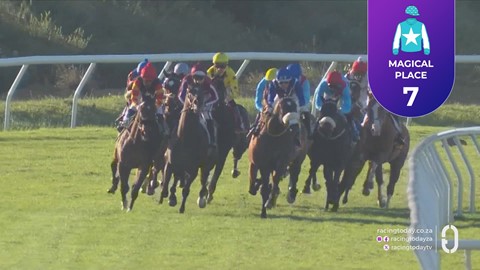Hollywoodbets Durbanville SA 16 Sep 2026 Race 8
