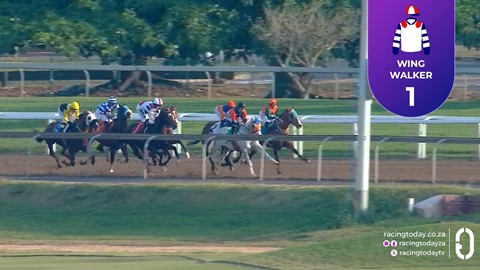 Hollywoodbets Greyville SA 16 Jul 2025 Race 7
