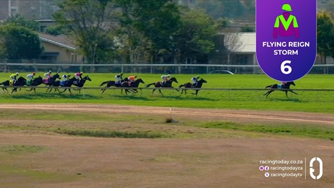 Hollywoodbets Scottsville SA 31 Aug 2025 Race 5