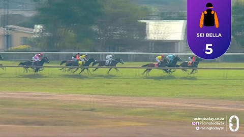 Hollywoodbets Scottsville SA 19 Jul 2026 Race 3